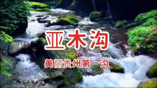 艾利时尚博客