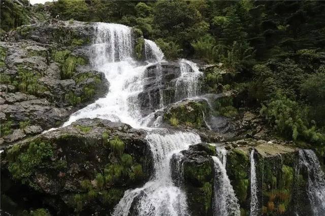 （经济观察）综合科技创新水平指数西部第一，重庆是如何炼成的？